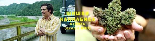 2c-b Белокуриха